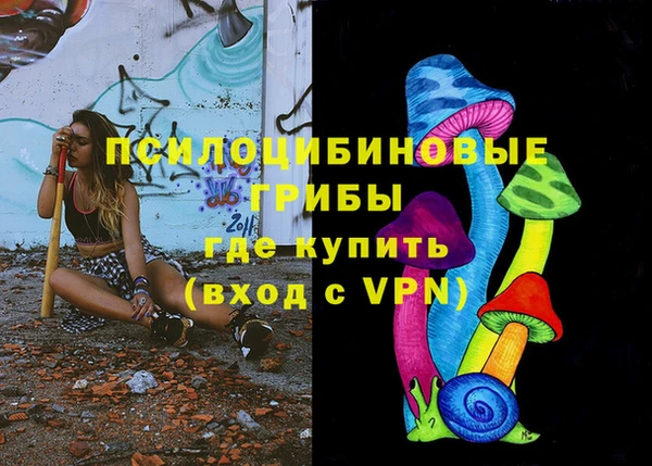 СК Абинск