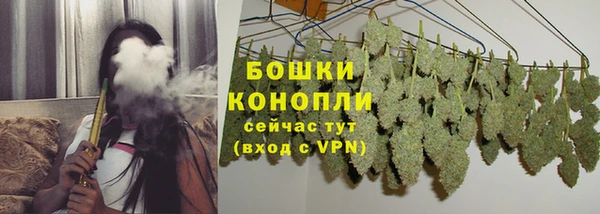трава Абаза