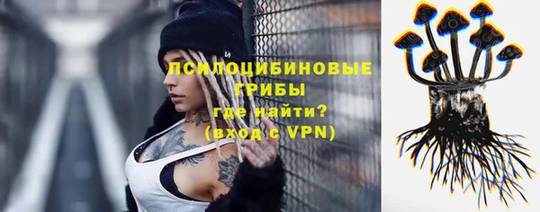 трава Абаза