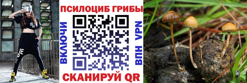 Галлюциногенные грибы Cubensis Ирбит
